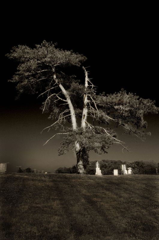 Sand Hill Cemetery infrared...