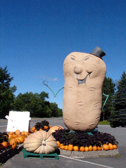 And not to forget giant Mr. Potato!...