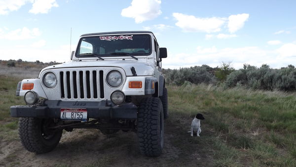my jeep and my partner "Trouble"...