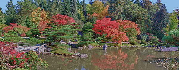 Japanese Garden Washington Park Arboretum, Seattle...