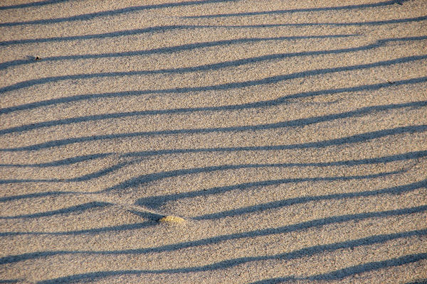 sand ripples moving around the stone...
