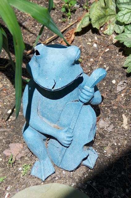 Musical friend's one eyed blue frog...
