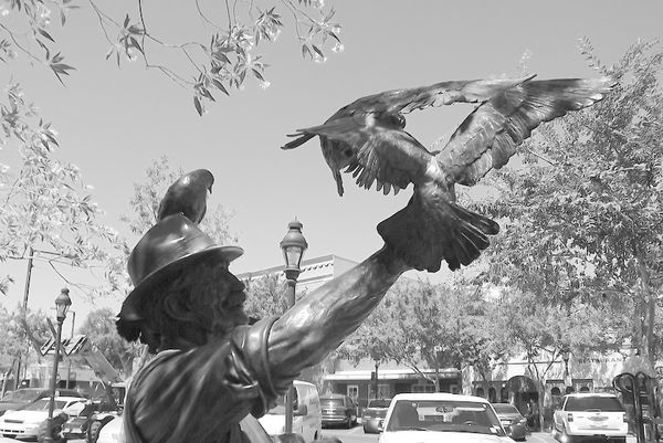 Man with birds in front of Glendale, AZ library...