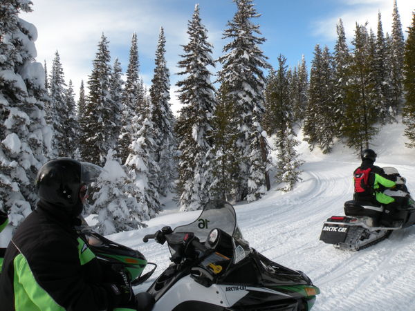 how bout snowmobiling...