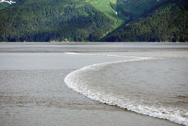 The BORE tide at turnagain Arm...