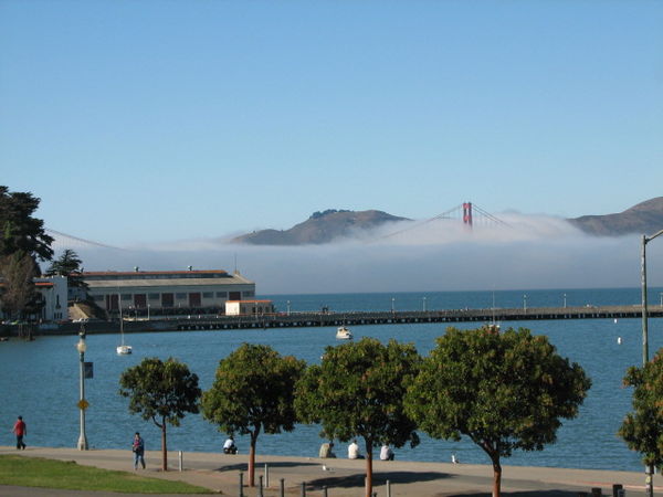 this what it looked like from the San Fransisco si...