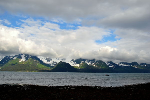 View from our cabin in Seward...