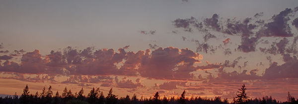 Maple Valley Sunset...