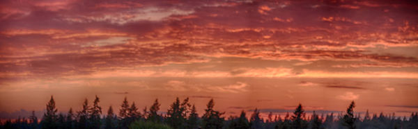 Maple Valley Sunset--especially red due to smoke f...