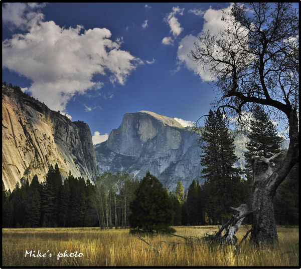 Half Dome from the valley....