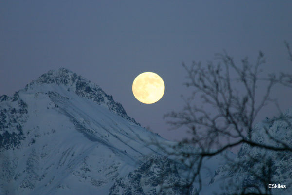This is looking across the Knik valley from my hou...