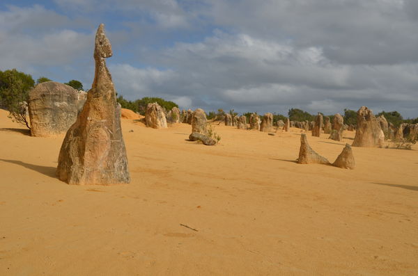 The Pinnacles, Western Australia...