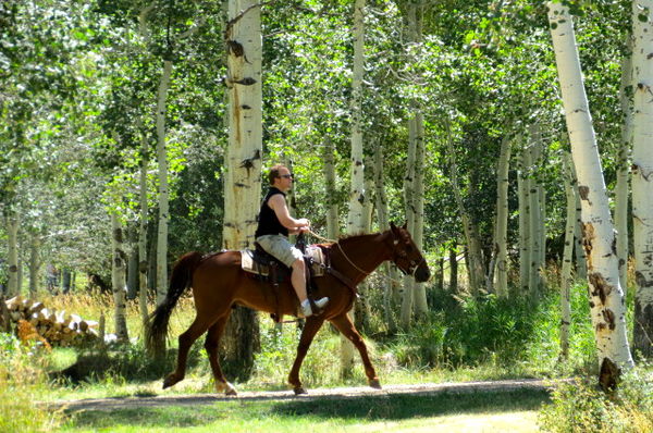 trotting horse w/son in law 1/200 F5.0 ISO 200...