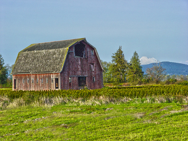 Mt Baker and Barn...