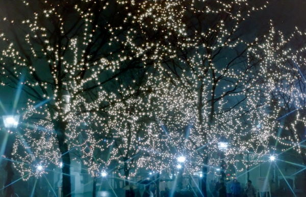 Xmas lights at Hershey Park, Hershey PA...