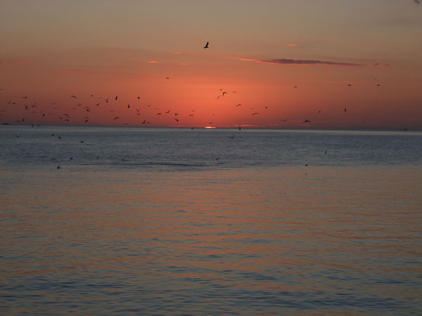 Sunset at St. Pete Beach; unedited photo; VERY acc...