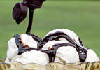 Pouring Chocolate Syrup on Vanilla Ice Cream.  f/7...