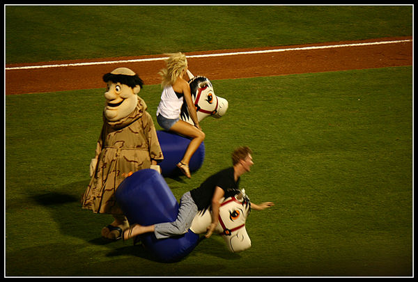the mascot tripped this guy as he was bouncing dow...