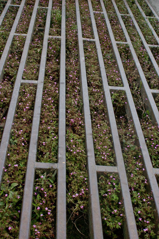 a rather flowery cattle grid...