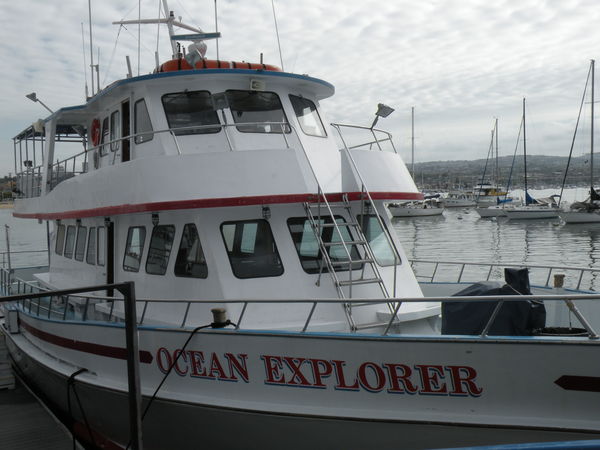 the boat we went whale watching on several years a...