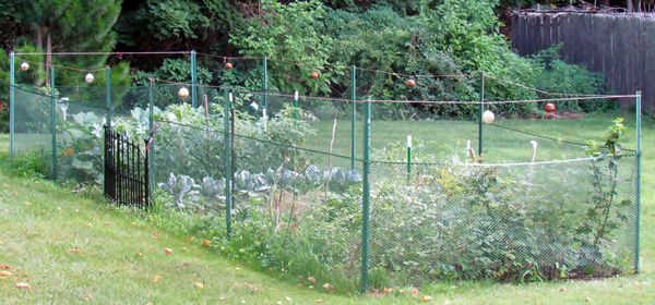 Veg.Garden -added fence to keep varmints OUT!...