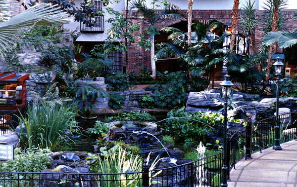 Botanical Garden at the Gaylord Opryland before th...