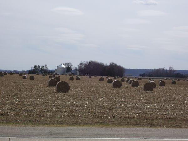 Most farmers have already baled the corn stalks...