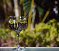 Tropical Wine Queensland...