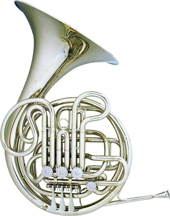 French horn (with a dirty whitecard upper left!)...