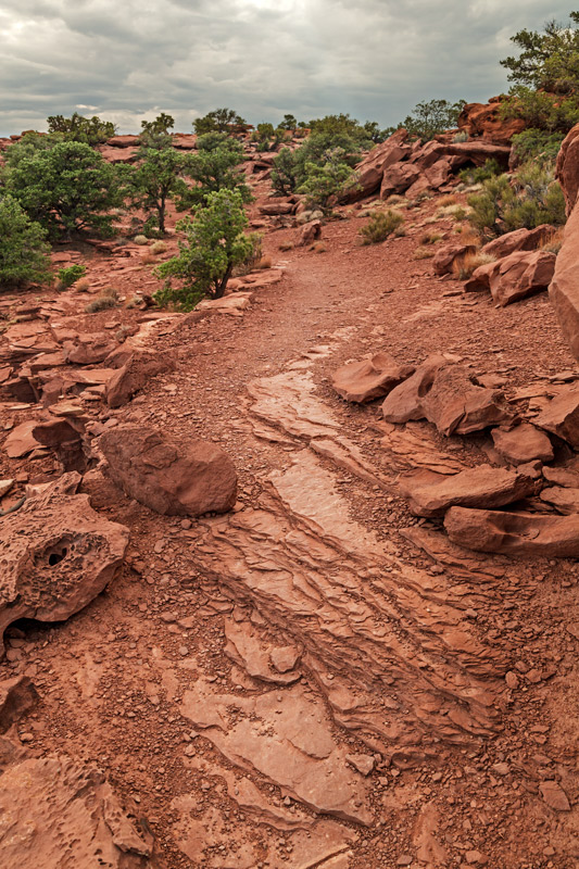 Trail, Sunset Point, Capitol Reef NP (2012)...