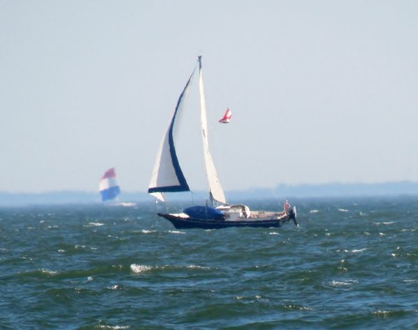 On the Water with Sail Boats Racing!...