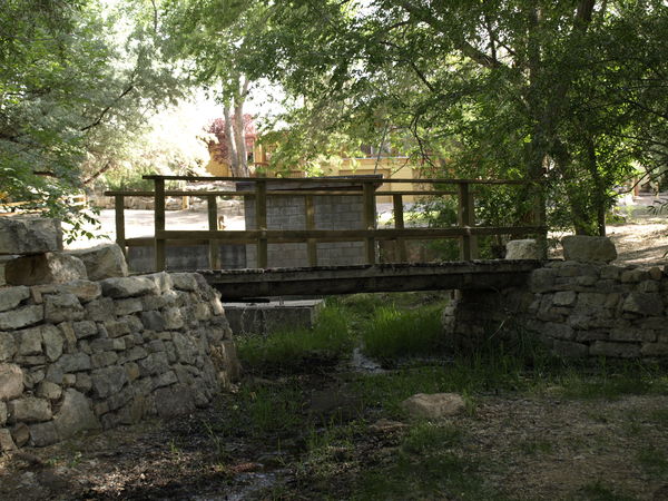 bridge in park...