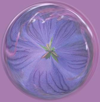 here is the flower ,now  a sphere , using PSE7, th...