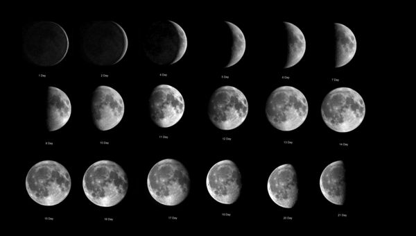 Phases of the Moon...