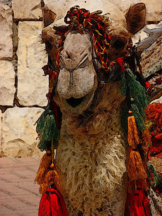 I painted the camel from Israel...