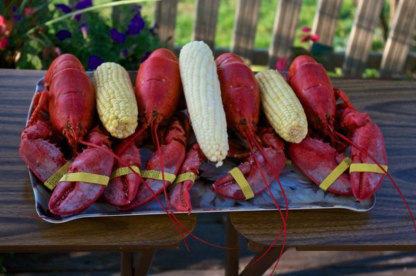 A Maine dinner on our deck on a summer eve - delic...