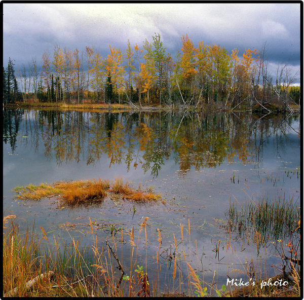 Beaver pond, Alaska...