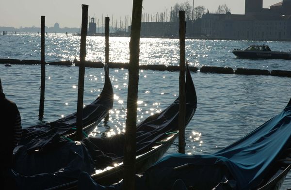 Gondolas in morning light...
