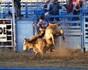 Bull riding - hop skip jump!!...