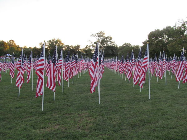 One more 'Healing Field'...