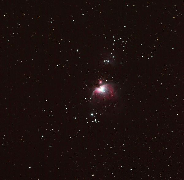 M42 Nebula...