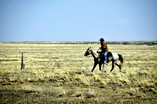 Lonesome  Cowboy...