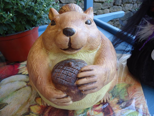 Cute squirrel (not a scarecrow!)...