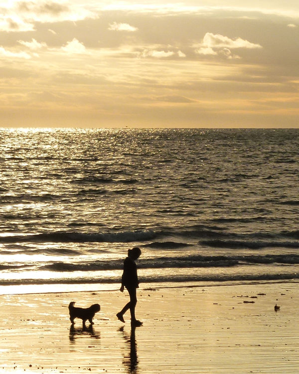 Girl and dog on beach...