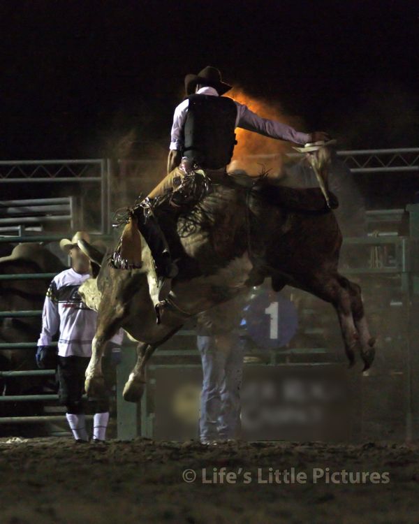 Low light photo fast action ... rodeo...