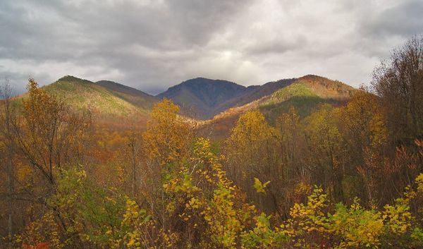Campbell's Overlook in the Fall...