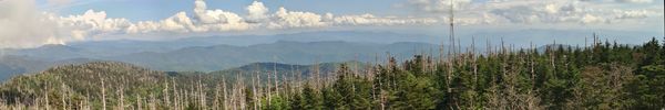 Panorama from atop Clingmans Dome...