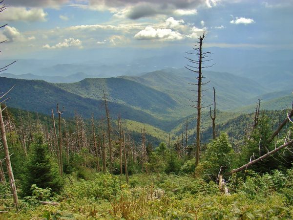 View Southeast from atop Clingmans Dome...
