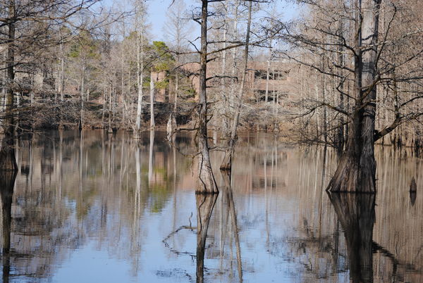 Another Mays Lake Reflection...