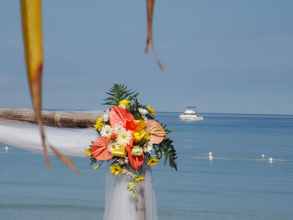 wedding  on the beach...